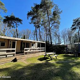 Guest house 531016 - Chalet Salland - Huisje Sillie op 5* Krieghuusbelten