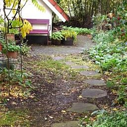 Sfeervolle tuinpad bij vakantiehuis in Heeten omringd door natuur in Salland, Overijssel.