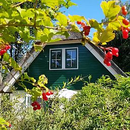 Guest house 531313 - Holiday property Salland - Salland Vakantie