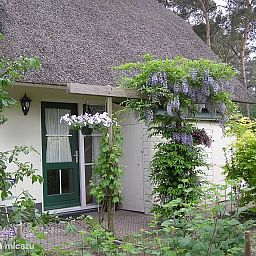 Guest house 531320 - Holiday property Salland - Bosvilla Elfie