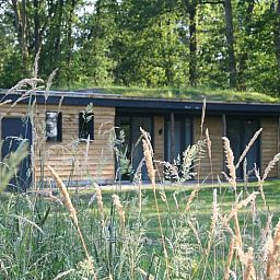 Cottage in Hellendoorn, a charming vacation home in the green surroundings of Salland, Overijssel, surrounded by natural splendor.
