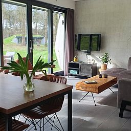 Gezellige woonkamer in Vakantiehuis in Hellendoorn, Salland, met uitzicht op groene omgeving en moderne inrichting.