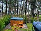 Guest house 532229 • Holiday property Salland • Huisje in Hellendoorn  • 7 of 26