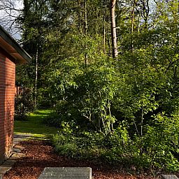 Gruene Umgebung um Ferienhaus in Hellendoorn, Salland, Overijssel.