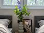 Guest house 533228 • Holiday property Salland • Vakantiehuisje in Haarle  • 12 of 25