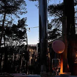 Evening view from the hot tub of Holiday Home in Haarle in the serene forests of Hellendoorn, Overijssel.