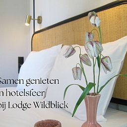 Unterkunft 533276 - Ferienhaus Salland - Boshuisje Lodge Wildblick