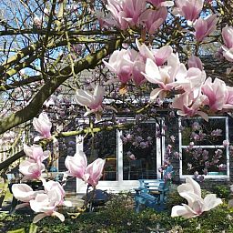 Guest house 533303 - Holiday property Salland - Vakantiehuisje in Wesepe