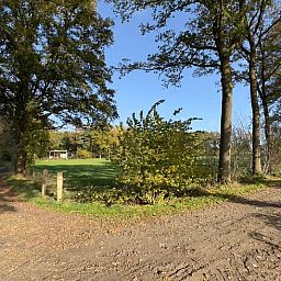 Bosrijke omgeving rondom Vakantiehuis in Lettele, perfect voor wandelingen in Salland, Overijssel.