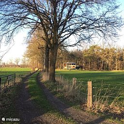 Verblijf 533915 - Vakantiewoning Salland - Natuurcabin
