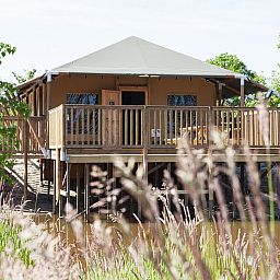 Guest house 534426 - Holiday property Salland - Safaricottage XL