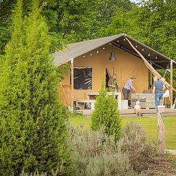 Guest house 534427 - Tent house Salland - Safaritent