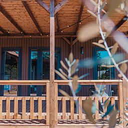 Guest house 534430 - Holiday property Salland - Tiny Wander Lodge