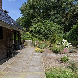 Vlinders op bloemen in de tuin van vakantiehuis OV224 in Ommen, Vechtstreek, Overijssel.