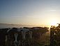 Guest house 540164 • Holiday property Vechtstreek • De Buizerd  • 4 of 21