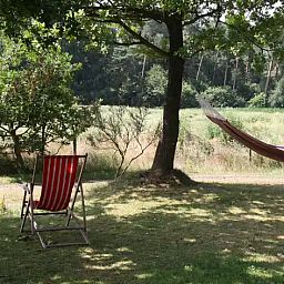 Guest house 540172 - Bungalow Vechtstreek - Bosluwte