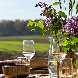 Unterkunft 540177 - Ferienhaus Vechtstreek - Vakantiehuis in Ommen