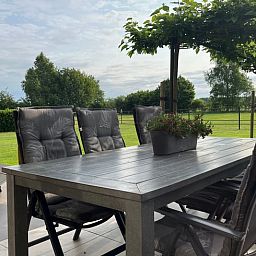 Gemuetliche Terrasse des Ferienhauses in Beerze, Region Vecht, Overijssel, mit Blick auf die Natur und bequemen Sitzgelegenheiten.