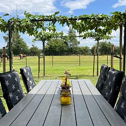 Aussentisch mit Stuehlen im Ferienhaus in Beerze, Ferienhaus in der Region Vecht, Overijssel mit Blick auf Wiesen.
