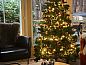 Guest house 540225 • Holiday property Vechtstreek • Vakantiehuisje in Beerze  • 12 of 16