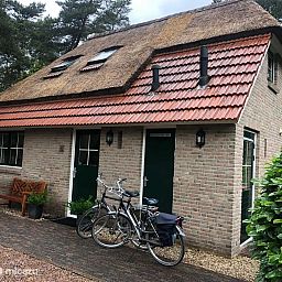 Unterkunft 540242 - Ferienhaus Vechtstreek - Huize Beerze