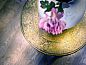 Guest house 540517 • Holiday property Vechtstreek • Vakantiehuisje in Dalfsen  • 11 of 26