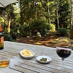 Guest house 540539 - Holiday property Vechtstreek - Vakantiehuis in Dalfsen
