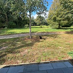 Unterkunft 540547 - Ferienhaus Vechtstreek - Huisje in Dalfsen