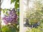 Guest house 540553 • Holiday property Vechtstreek • Vakantiehuis in Dalfsen  • 6 of 26