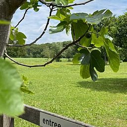 Gruener Eingang zum Ferienhaus in Dalfsen, umgeben von Natur in der Region Vecht.