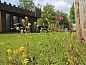 Unterkunft 540607 • Ferienhaus Vechtstreek • Kasteel de Vijverpoort  • 3 von 17