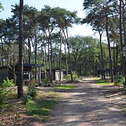 Verblijf 540617 - Vakantiewoning Vechtstreek - Bospark chalet