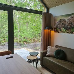 Verblijf 540844 - Vakantiewoning Vechtstreek - Tiny house