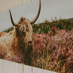 Unterkunft 540865 - Ferienhaus Vechtstreek - Tiny house XL