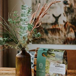 Unterkunft 540865 - Ferienhaus Vechtstreek - Tiny house XL