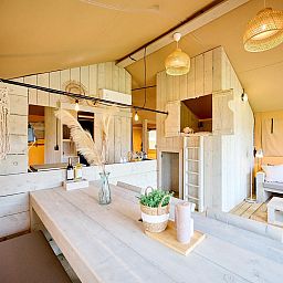 Unterkunft 540866 - Zelthaus Vechtstreek - Safaritent