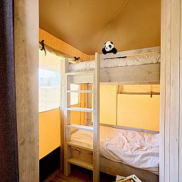 Unterkunft 540866 - Zelthaus Vechtstreek - Safaritent