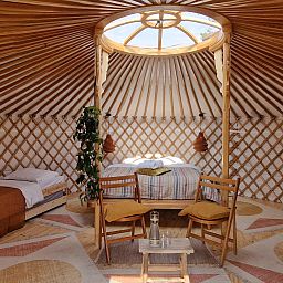 Unterkunft 540870 - Zelthaus Vechtstreek - Mongoolse Panorama Yurt