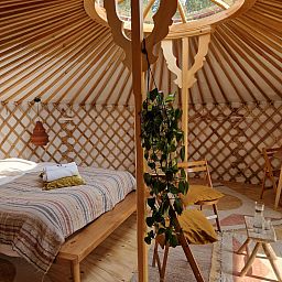 Unterkunft 540870 - Zelthaus Vechtstreek - Mongoolse Panorama Yurt