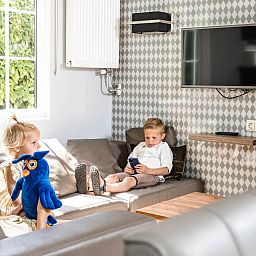 Unterkunft 541117 - Ferienhaus Vechtstreek - Familiechalet