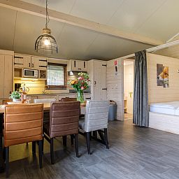 Unterkunft 541122 - Ferienhaus Vechtstreek - Rheezerlodge DeLuxe hoog