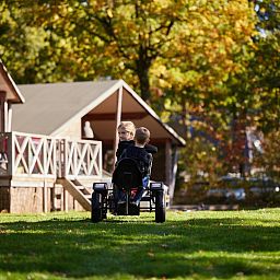 Unterkunft 541125 - Ferienhaus Vechtstreek - Rheezerlodge DeLuxe laag