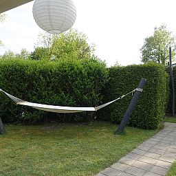 Geniessen Sie die laendliche Umgebung im Ferienhaus OV649 in Rheezerveen, Vechtstreek, Overijssel mit grasenden Kuehen in der gruenen Landschaft.