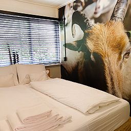 Guest house 541263 - Holiday property Vechtstreek - Dutch Cabin Houses C66