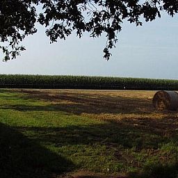 Uitzicht op groene velden bij vakantiehuis OV250, Stegeren-Ommen, Vechtstreek, Overijssel.