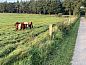 Guest house 541809 • Holiday property Vechtstreek • Vakantiehuisje in Giethmen  • 10 of 21