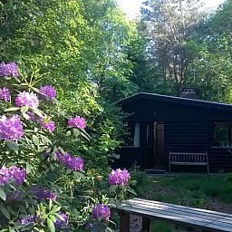 Verblijf 541821 - Bungalow Vechtstreek - Huisje 140