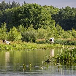 Modern bathroom in OV675 vacation home, Lemele, Vechtstreek, Overijssel.