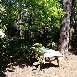 Picknicktisch im Garten des Ferienhauses in Stegeren, Overijssel, umgeben von bunten Blumen.