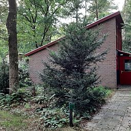 Das Ferienhaus in Stegeren liegt in der gruenen Natur der Region Vecht, Overijssel, und bietet einen ruhigen Rueckzugsort in einem bewaldeten Gebiet.
